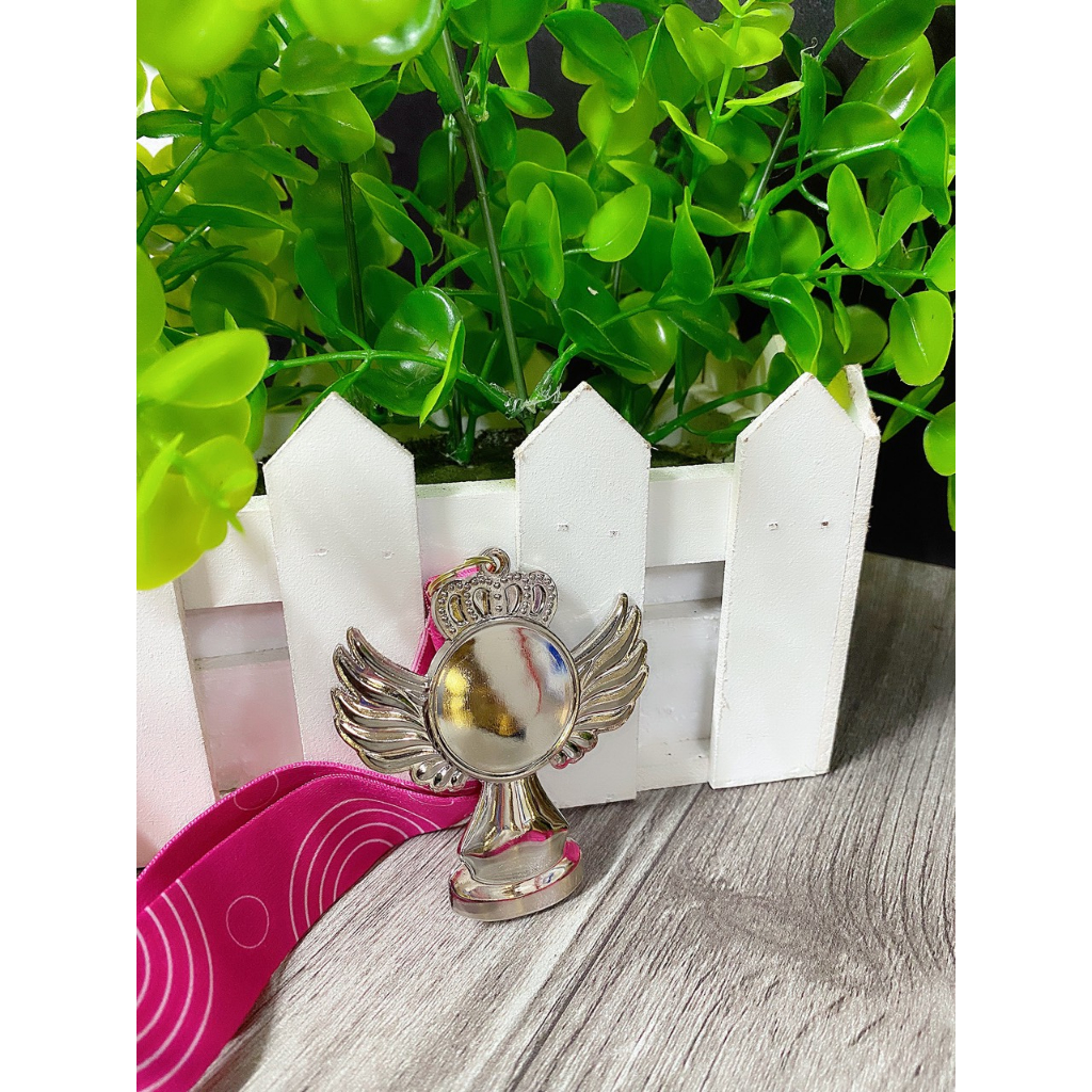 HUY CHƯƠNG DÂY LỤA HỒNG