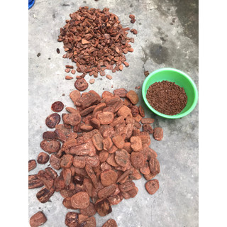 1kg vỏ thông trồng hoa lan, hàng mài cạnh đã xử lý