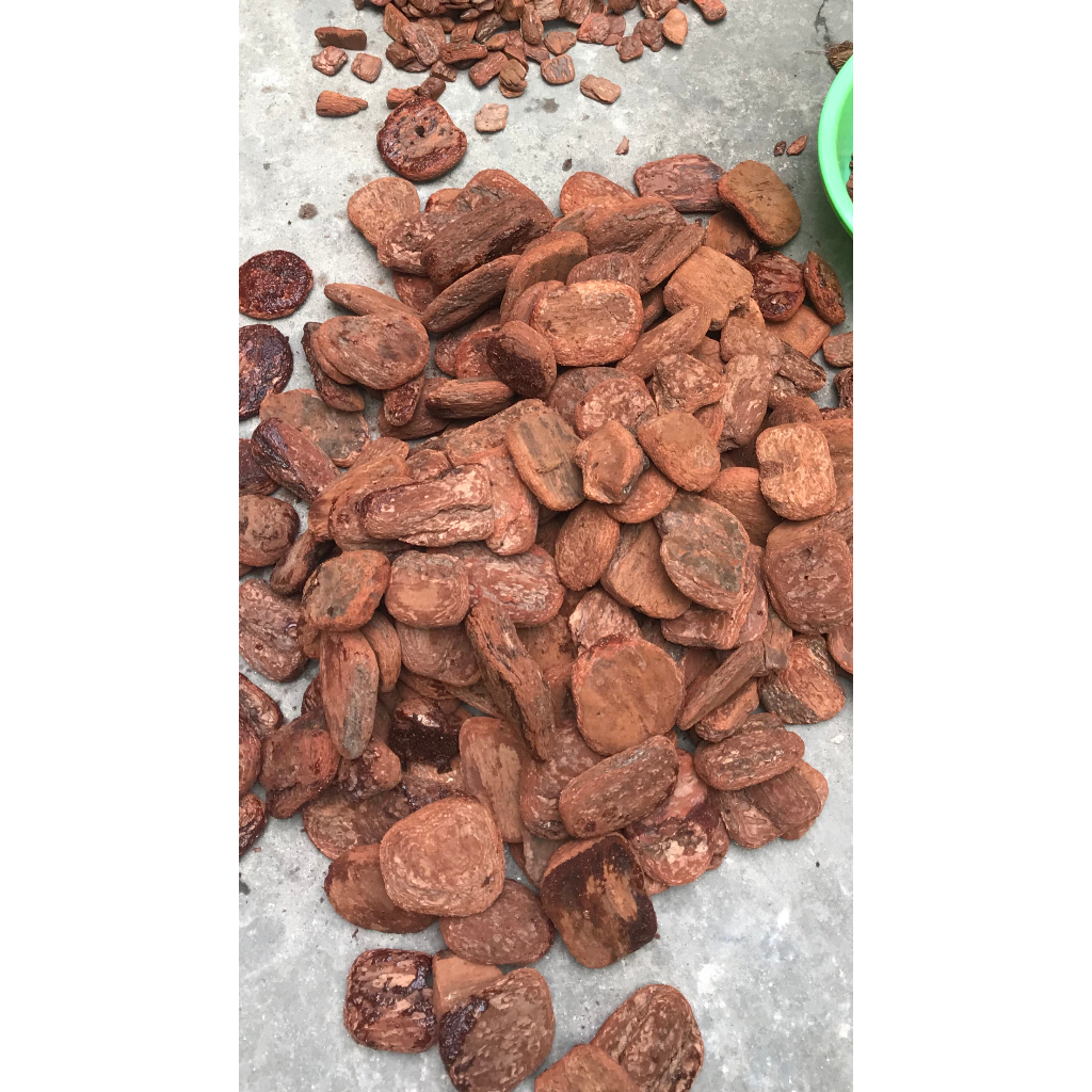 1kg vỏ thông trồng hoa lan, hàng mài cạnh đã xử lý