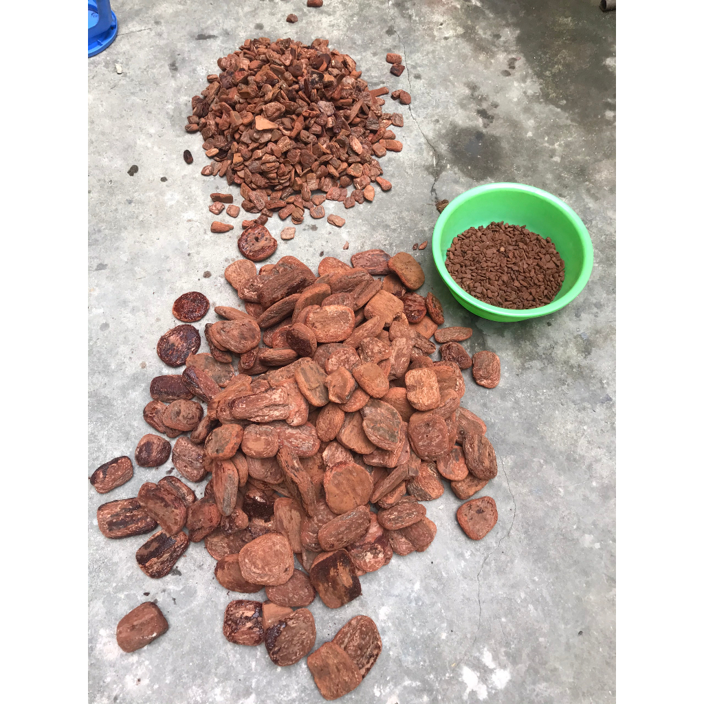 1kg vỏ thông trồng hoa lan, hàng mài cạnh đã xử lý