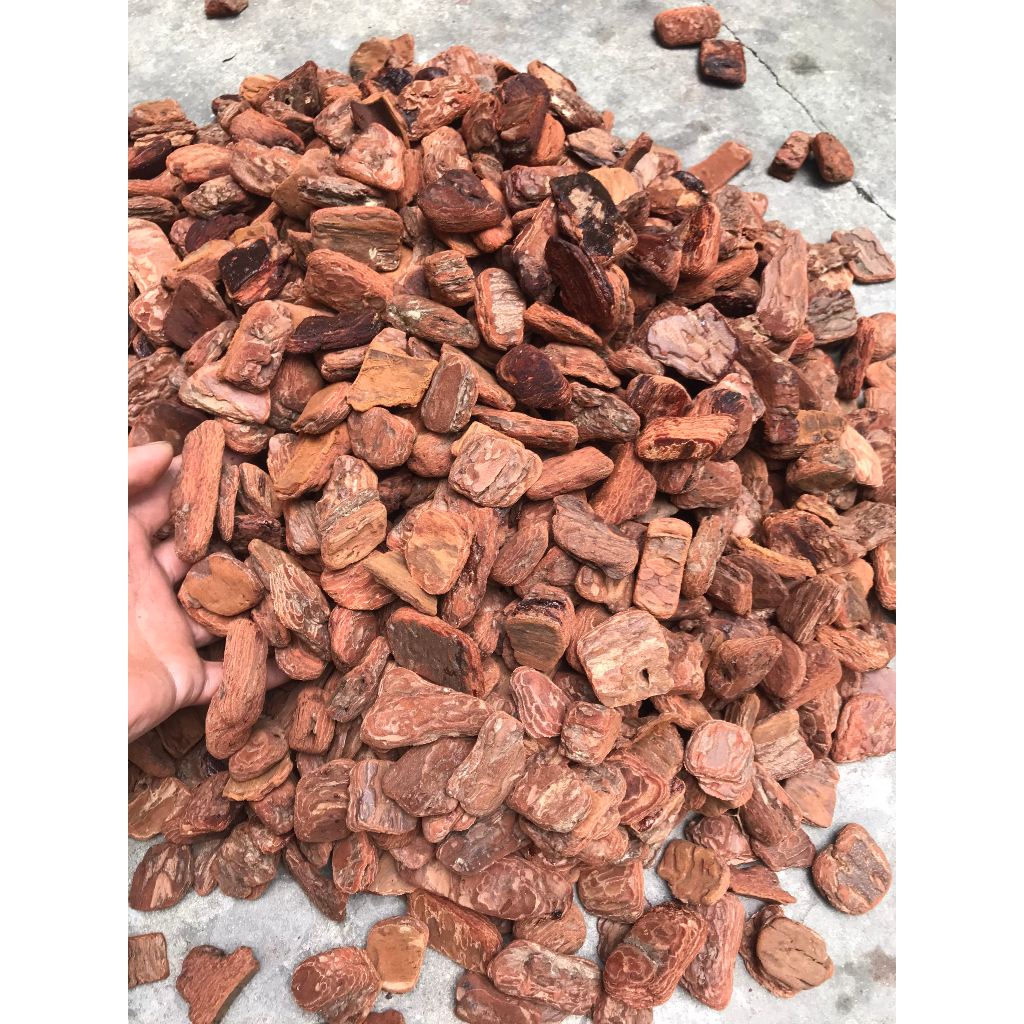 1kg vỏ thông trồng hoa lan, hàng mài cạnh đã xử lý