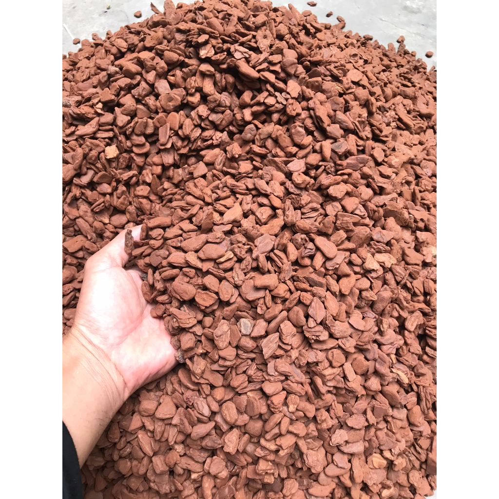 1kg vỏ thông trồng hoa lan, hàng mài cạnh đã xử lý