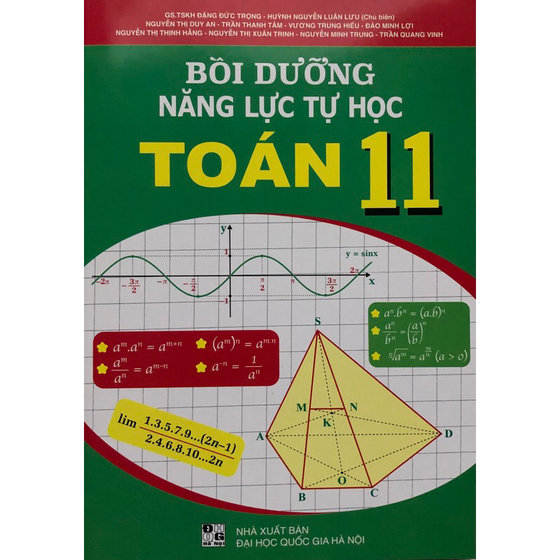 Sách - Bồi dưỡng năng lực tự học Toán 11