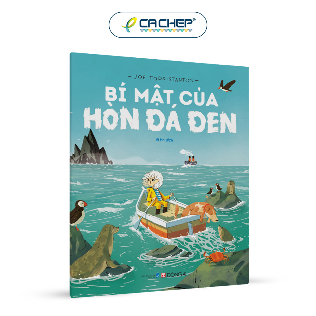 Sách - Bí mật của Hòn Đá Đen