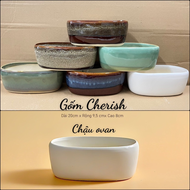 Chậu ovan trồng cây cảnh, sen đá, bonsai văn phòng