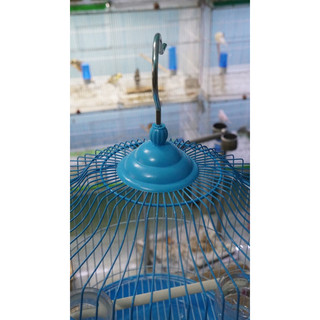 lồng chim sắt sơn tĩnh điện