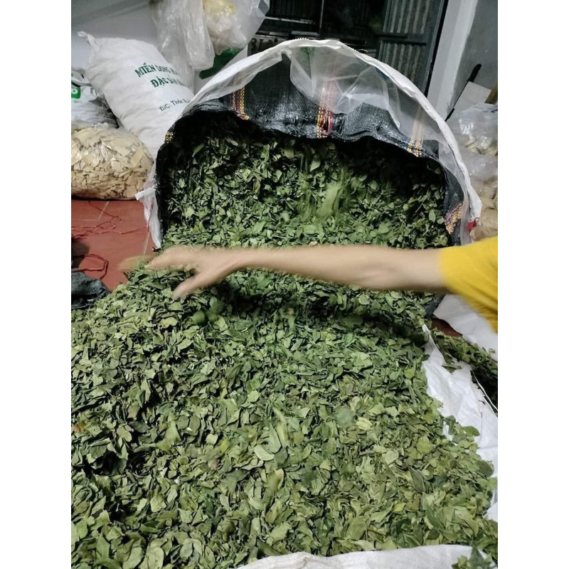 COMBO 1Kg Bột Thạch Găng nguyên chất + 1 TÚI LỌC nhà làm