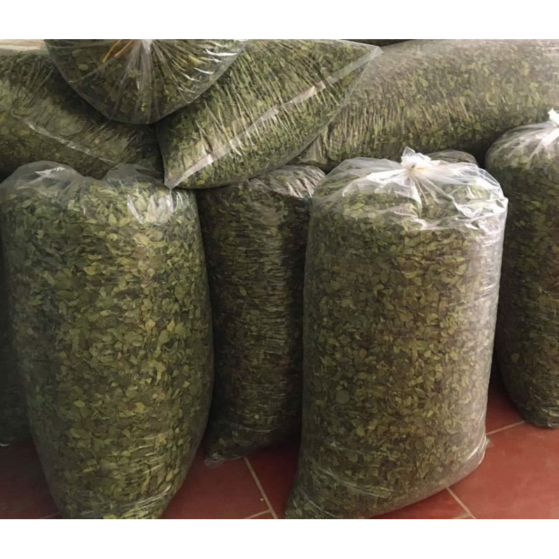 COMBO 1Kg Bột Thạch Găng nguyên chất + 1 TÚI LỌC nhà làm