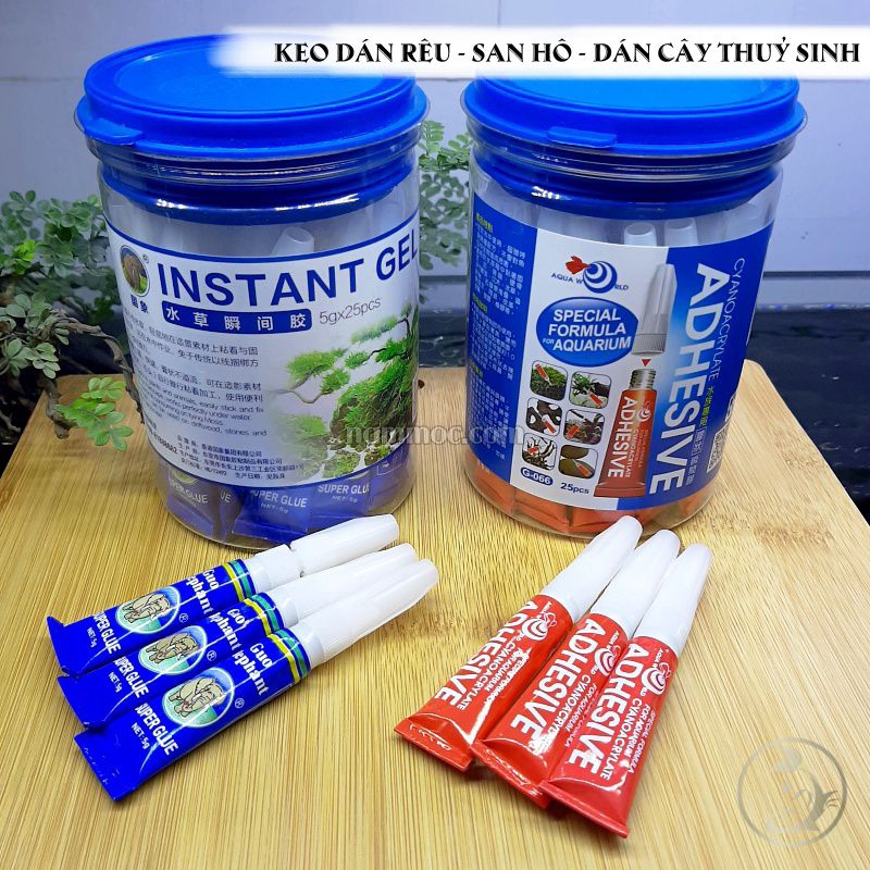 Keo dán rêu vào lũa, đá, bonsai.