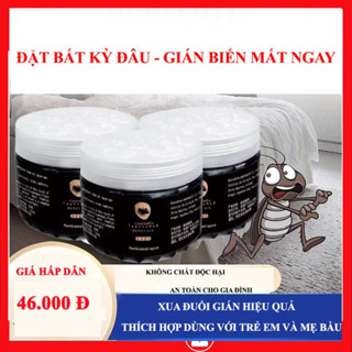 Hộp hạt đuổi gián triết xuất hương tinh dầu thực vật oải hương hiệu quả an toàn cơ thể