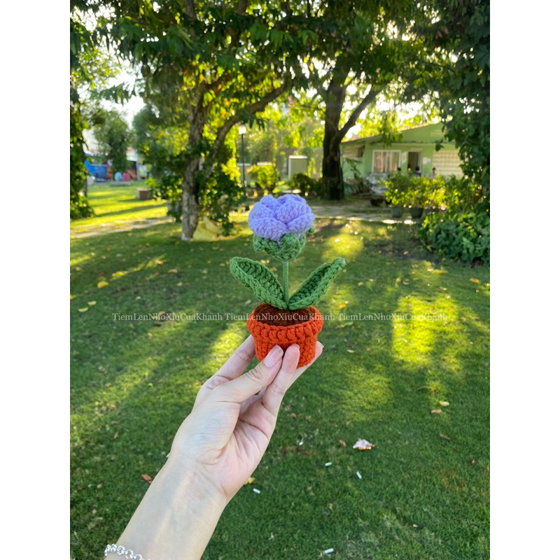 chậu hoa len mini handmade