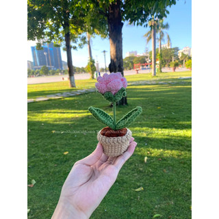 chậu hoa len mini handmade