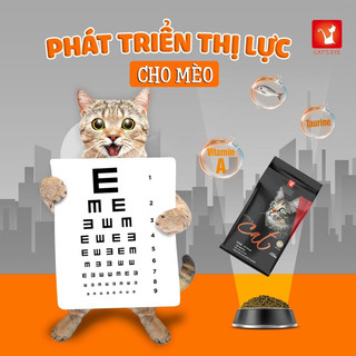[1.5kg] Hạt CAT'S EYE dành cho mèo mọi lứa tuổi