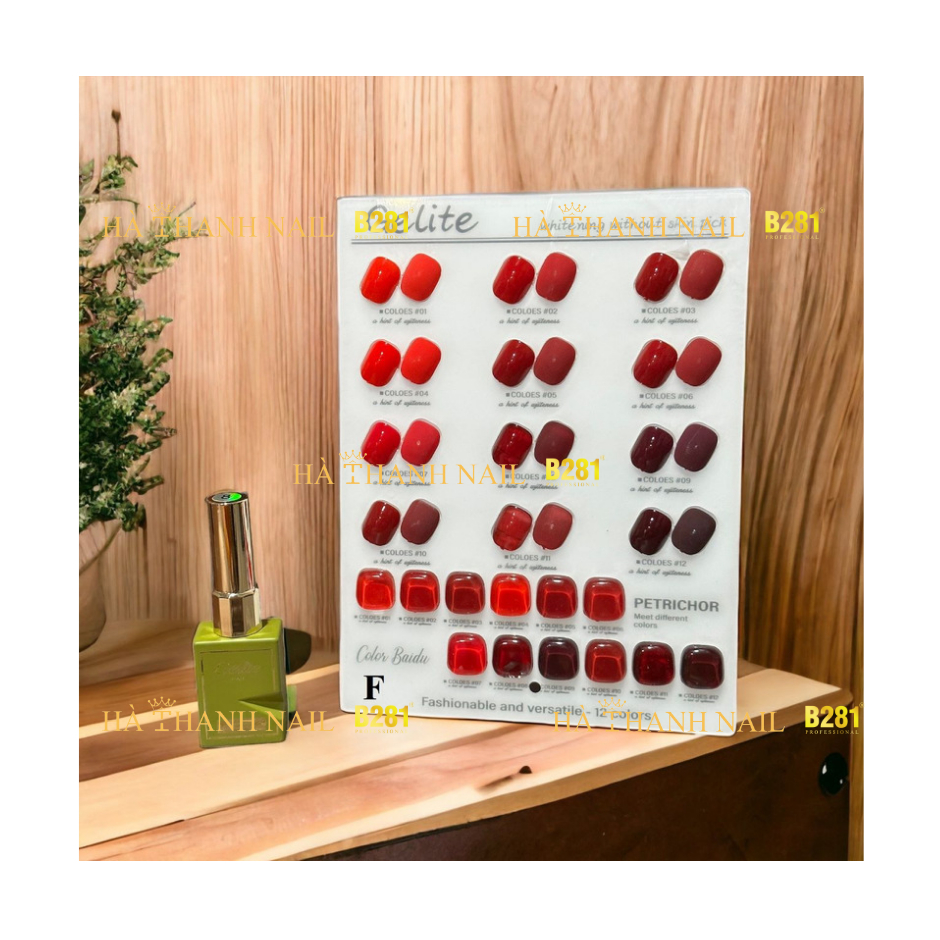 Set Sơn 12 Màu , Set Sơn Gel GELITE 12 Màu , Tặng Khung Mẫu