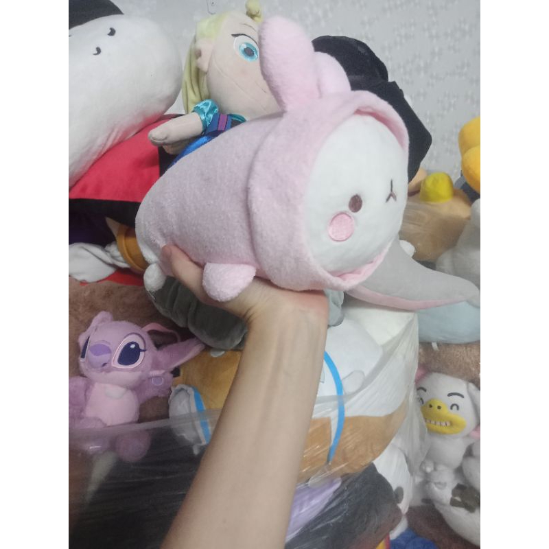 Gấu bông molang coslay