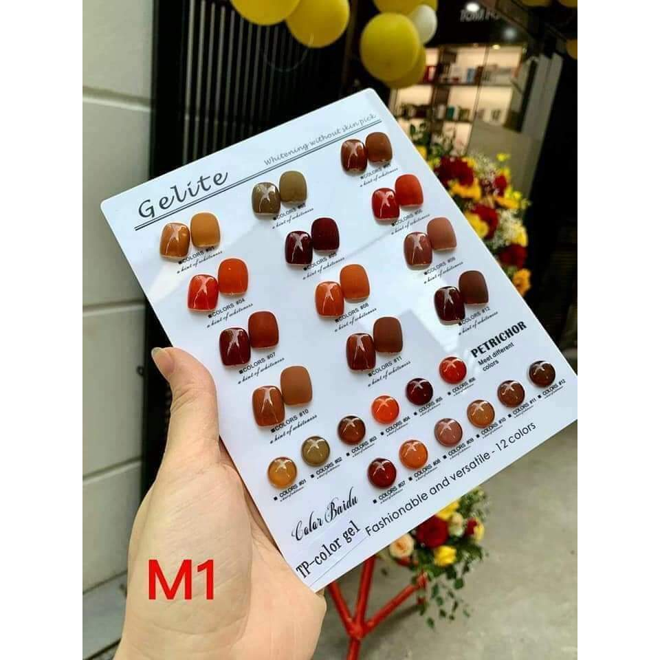 Sét 12 màu Gelite tông nâu cam 15 ml tặng bảng màu