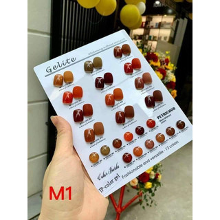 Sét 12 màu Gelite tông nâu cam 15 ml tặng bảng màu