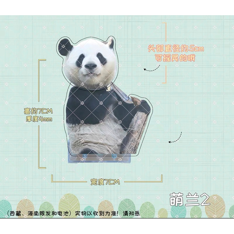 (Đặt Trước) Standee lắc đầu hình gấu trúc Fubao,MengLan, yaya có kèm pin