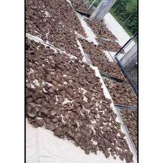 1 Kg Dây gắm khô ( cam kết ngon,sạch,mới)