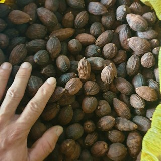 Thảo quả 1kg