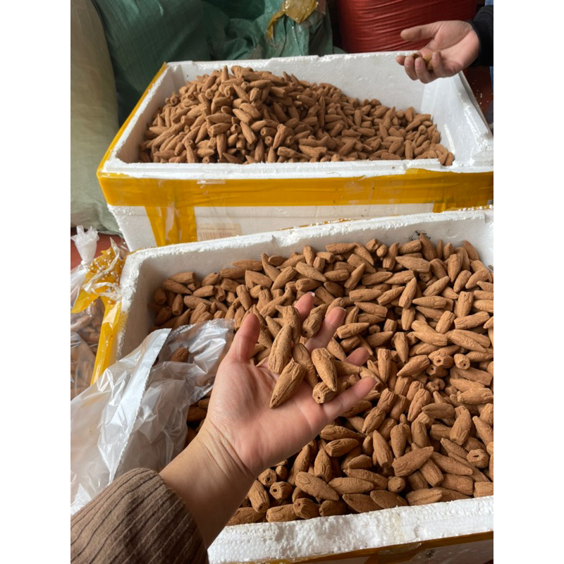 Hương Nụ Ngọc Am Hà Giang 👉có kèm đế Đồng ✅