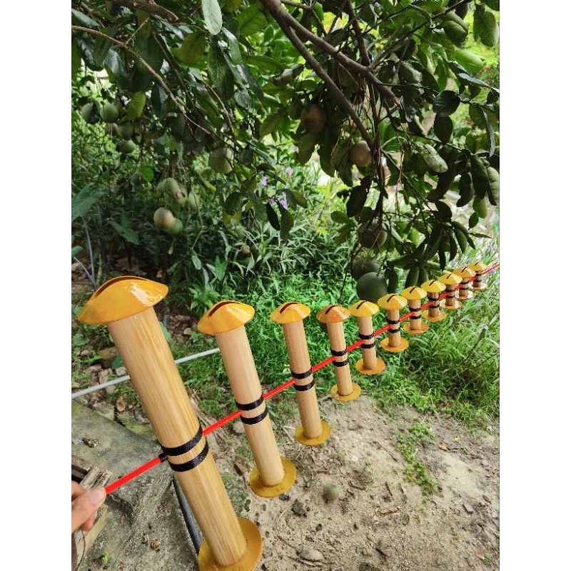 Hòa còid- 47-50-53-55hàng đẹp nét 11quả