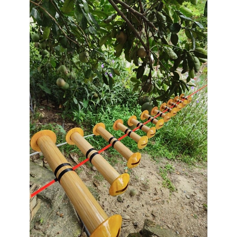 Hòa còid- 47-50-53-55hàng đẹp nét 11quả