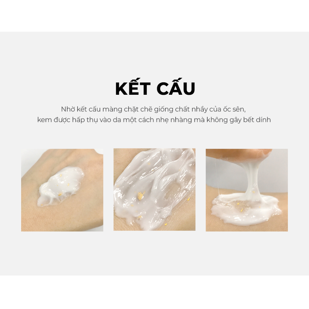 Kem dưỡng da ban đêm JNN-II 24K Care Night Cream dưỡng ẩm phục hồi da tinh chất 24K và ốc sên Hàn Quốc 50G | jnn2.vn