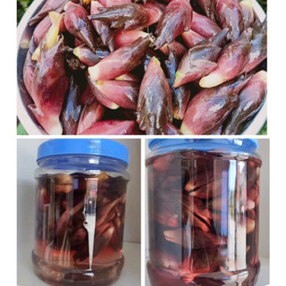 Nhân sâm Myoga 120k/3kg