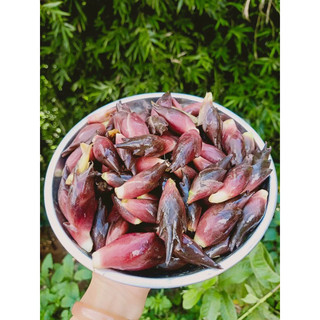 Nhân sâm Myoga 120k/3kg