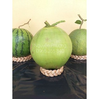 Đế lục bình chưng dừa tết tự hủy