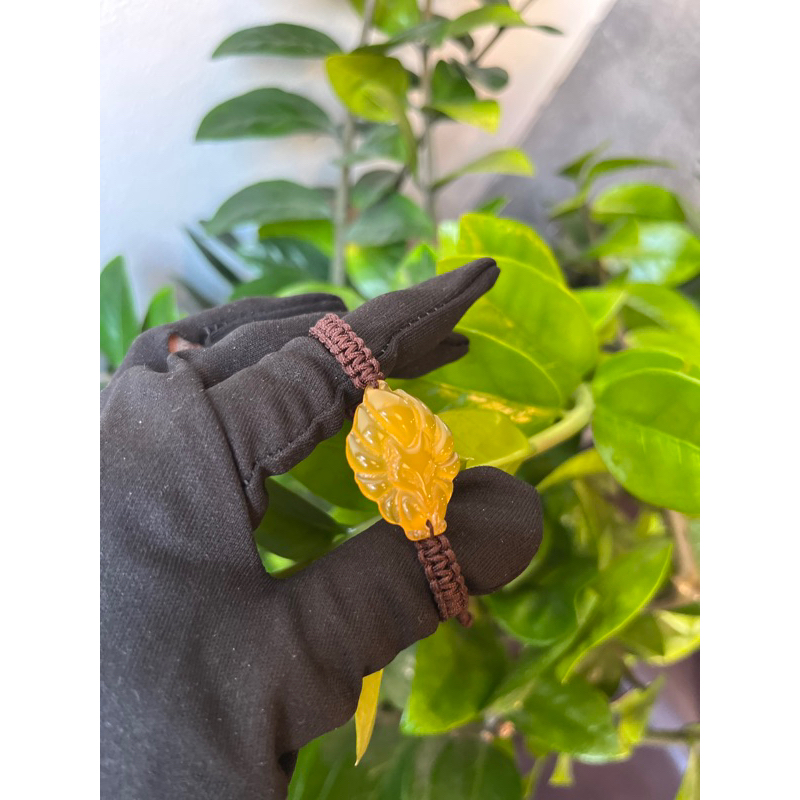 Vòng tay hồ ly chúa