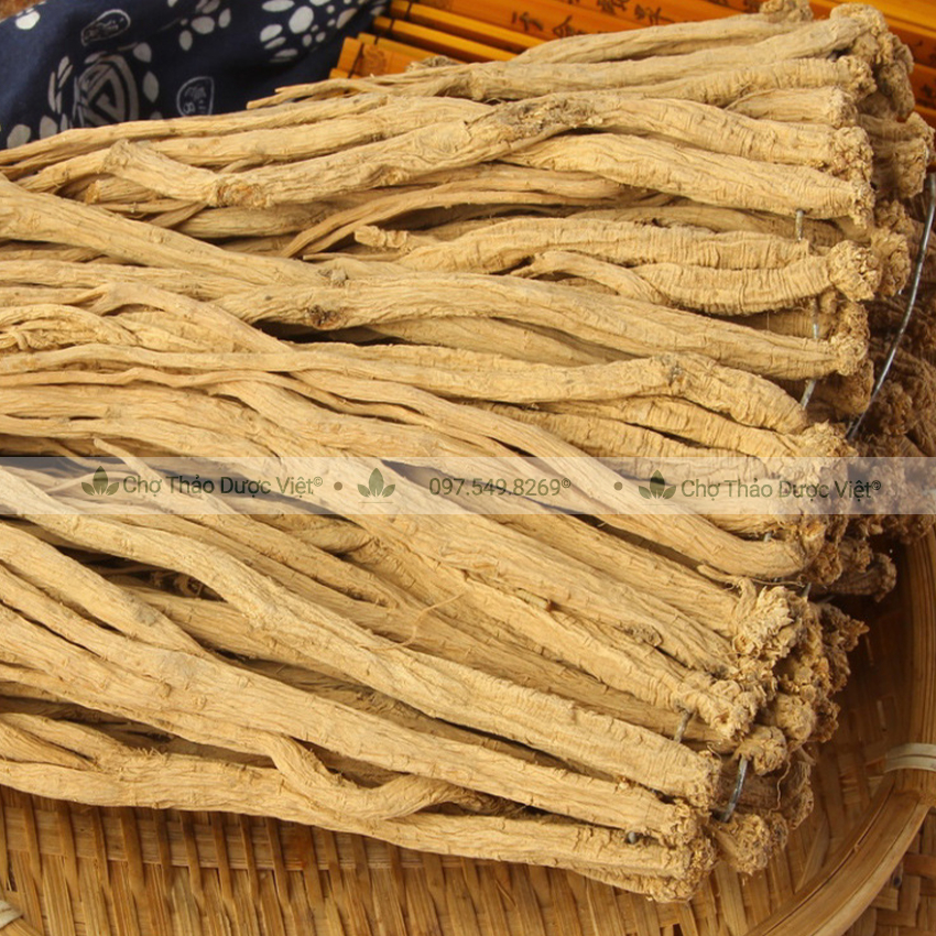 500gr Đẳng Sâm  - Chợ Thảo Dược Việt