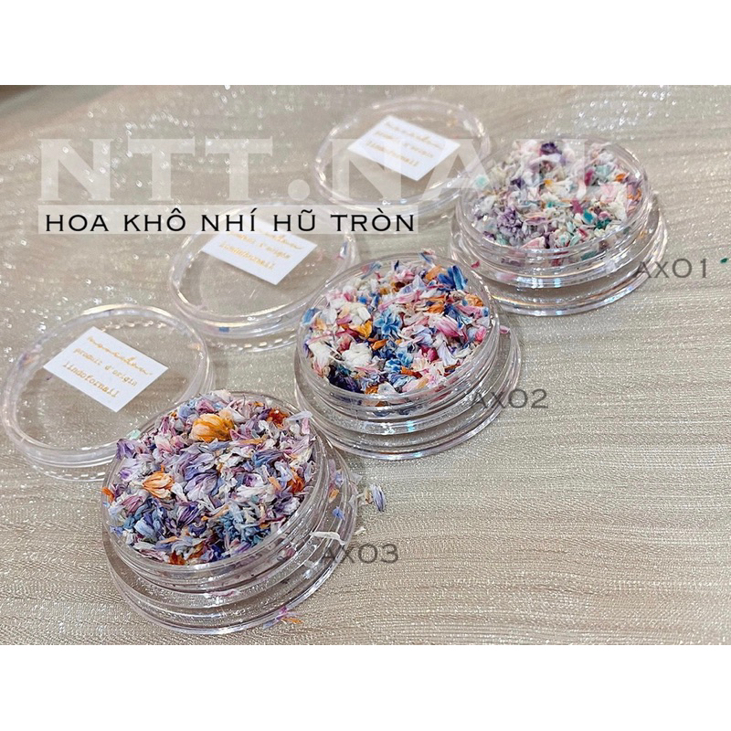 hoa khô nhí hũ tròn lẻ