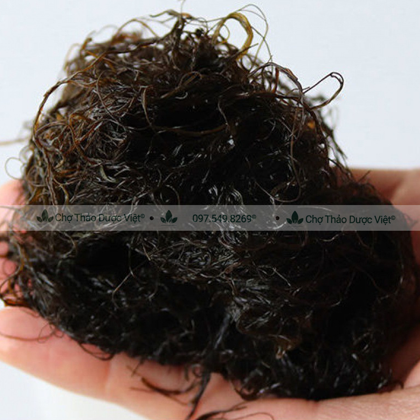 Rong tóc tiên khô nấu súp 1kg  - Chợ Thảo Dược Việt