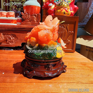 Cóc vàng ngậm tiền phong thủy cao 19 cm ngang 15 cm màu đỏ