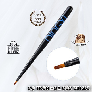 Cọ hoa cúc Dingxi