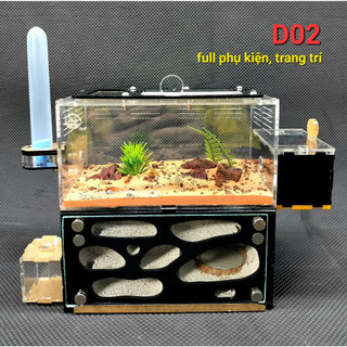 Hộp nuôi kiến - D02 - Ant farm - Formicarium - Hộp nuôi kiến - Chuồng nuôi kiến - Tank kiến - Nhà cho kiến