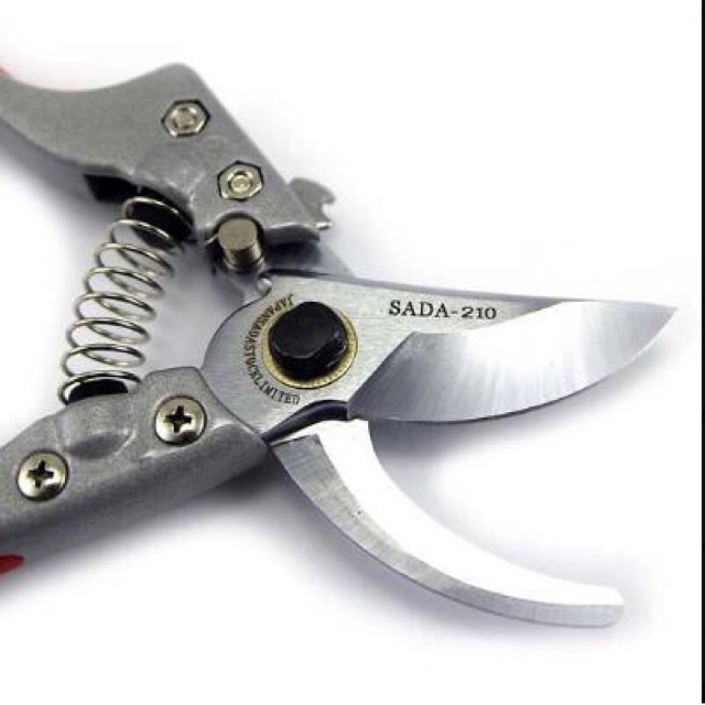 Kéo cắt cành cây mini nhật bản SADA 210 tỉa cành cây trên cao.