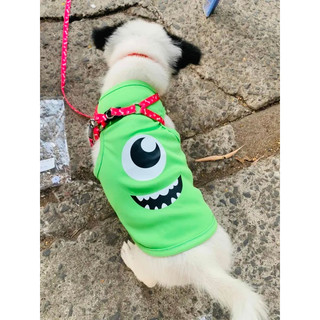 Áo cho chó mèo màu xanh lá (Hình quái vật Mike)
