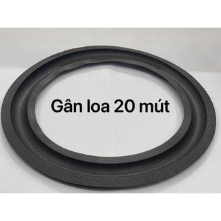 Combo 2 gân loa 20 mút