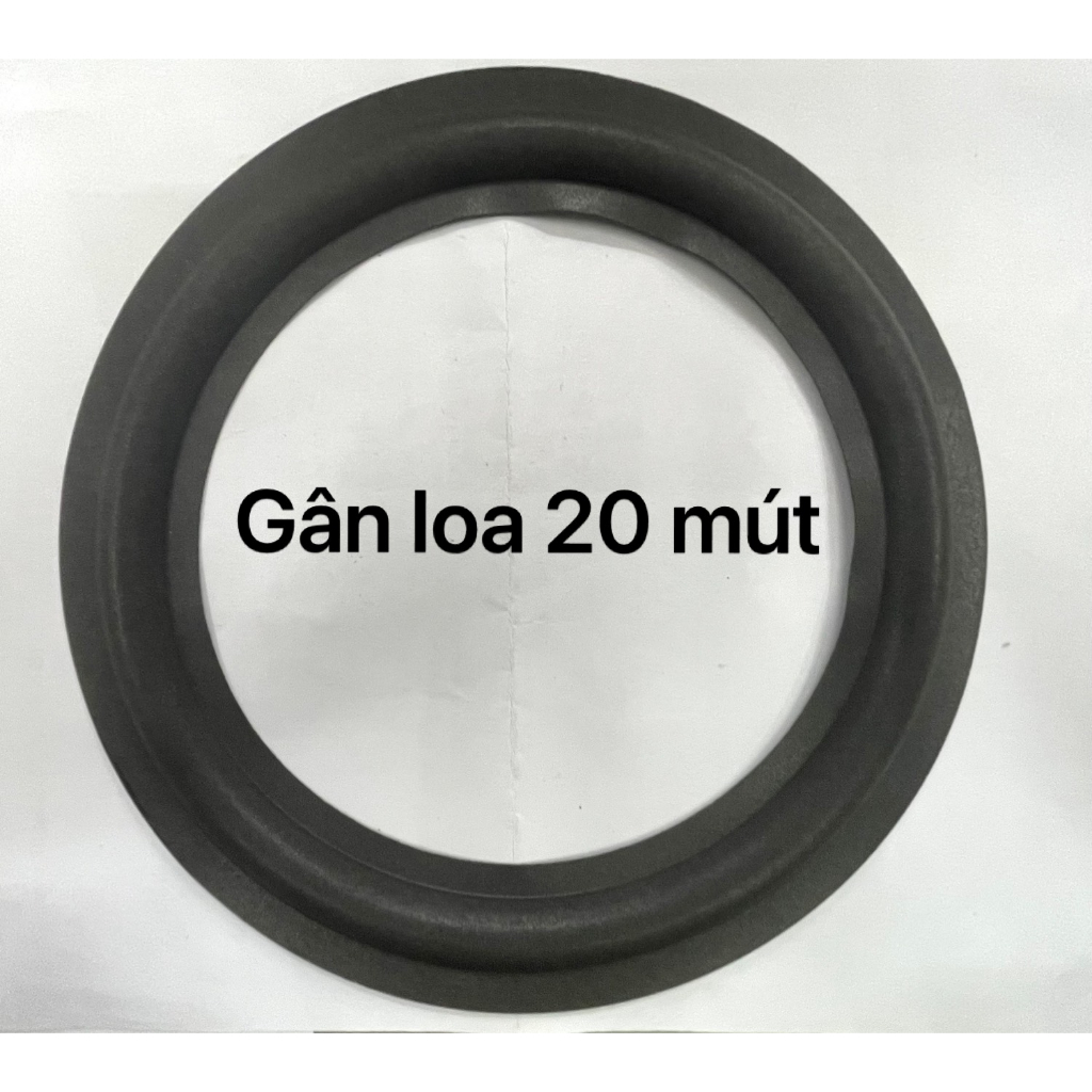 Combo 2 gân loa 20 mút
