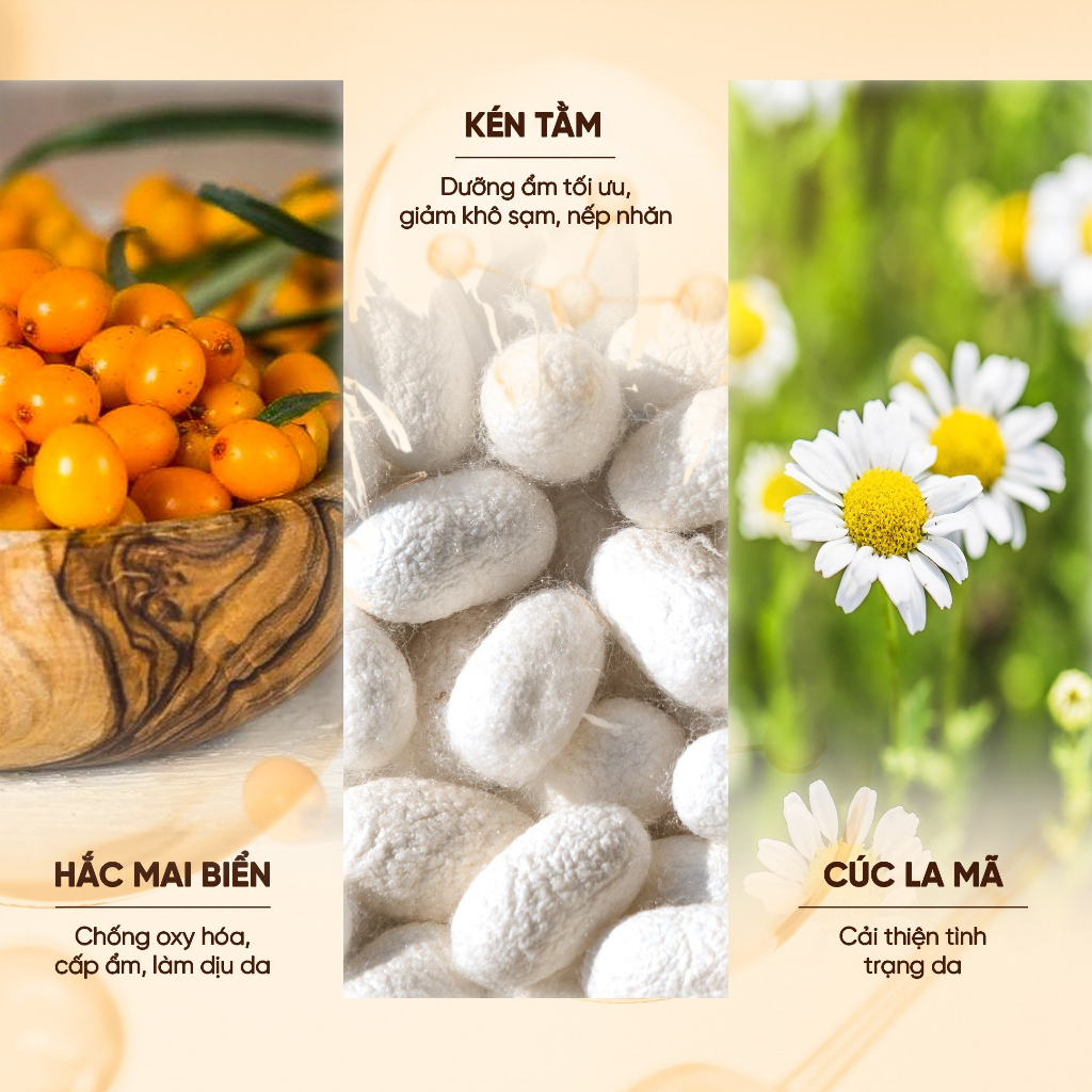 Kem chống nắng Hắc Mai Biển I'm Sun Love Cream 50gr Mua 1 Tặng 1