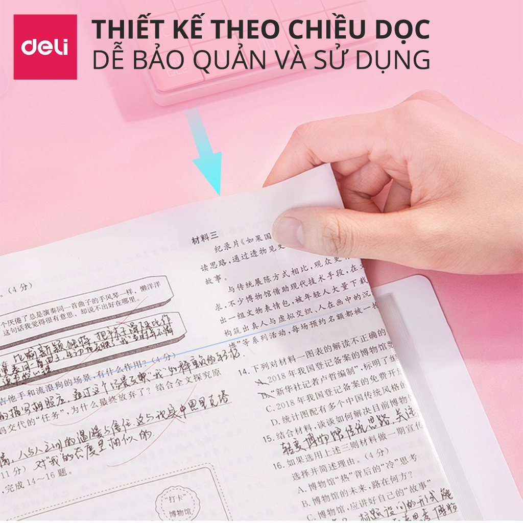 File Lá Đựng Tài Liệu A4 / Túi Tài Liệu Lá A4 30 Lá 40 Lá Màu Pastel Cute Deli -Lưu Trữ Tài Liệu Chứng Từ Hồ Sơ Học Sinh