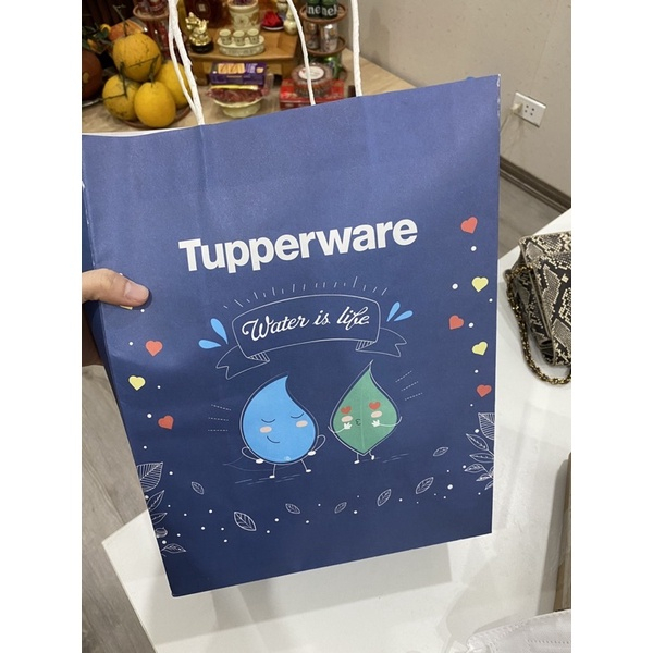 Túi Giấy Tupperware Size M 25x13x33CM
