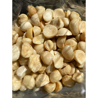1kg Hạt Macca Đã Tách Vỏ