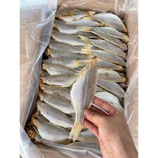 0,5kg cá phèn Hồng mới ngon béo để ăn cơm