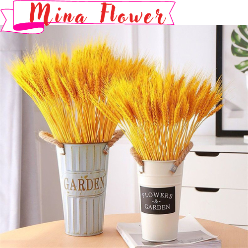 1 bó bông lúa mạch vàng khô trang trí Phụ kiện trang trí quán, cắm lọ siêu xinh - Mina flower