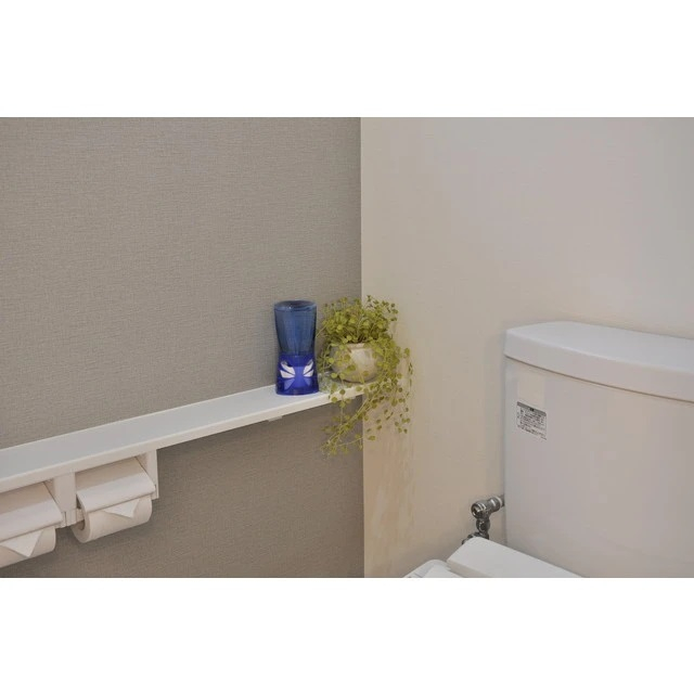 Hộp Khử Mùi Phòng Vệ Sinh Earth Sukki-Ri Nhật Bản Hương Bạc Hà