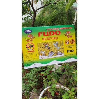 1 miếng keo dính chuột keo bẫy chuột siêu dính